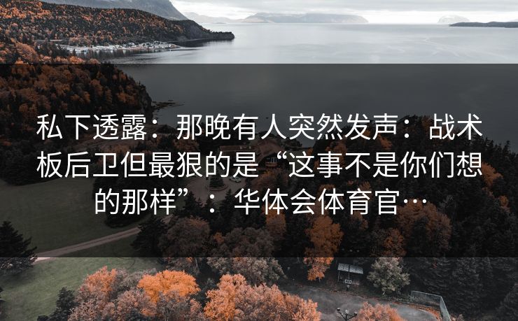 私下透露：那晚有人突然发声：战术板后卫但最狠的是“这事不是你们想的那样”：华体会体育官…